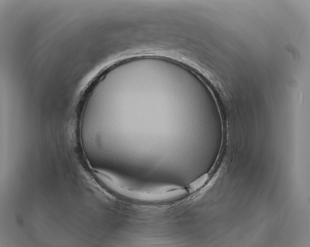 X0000112101502200908251137