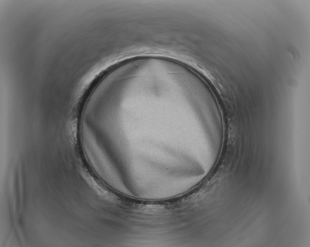 X0000112101503200908251137