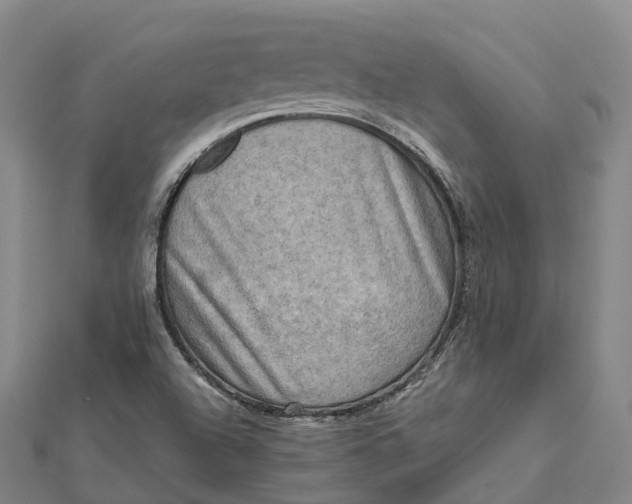 X0000112101504200908251138