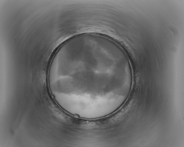 X0000112101505200908251138