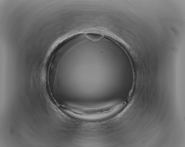 X0000112101506200908251138