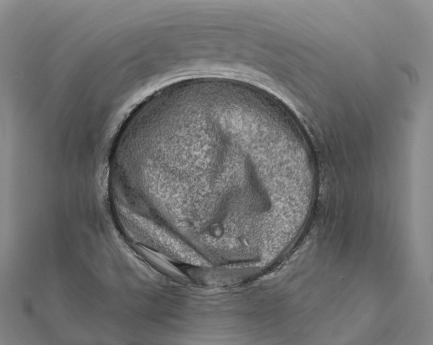 X0000112101507200908251138