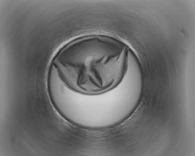 X0000112101508200908251138