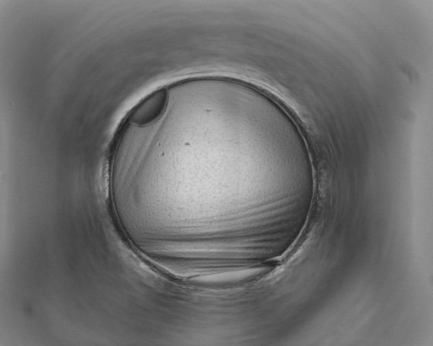 X0000112101510200908251138