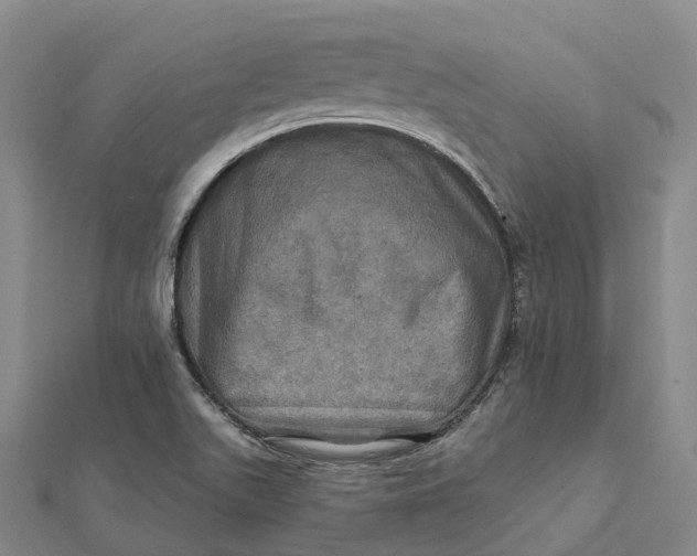 X0000112101511200908251138