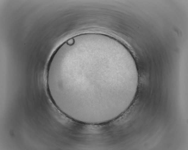 X0000112101514200908251138