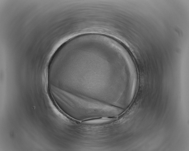 X0000112101515200908251138