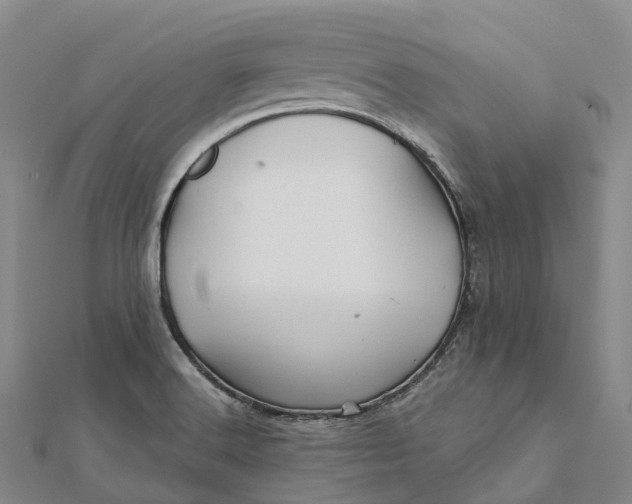 X0000112101516200908251138