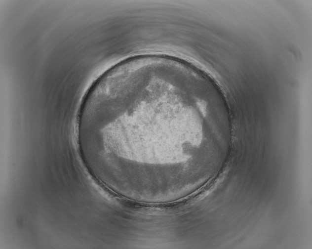 X0000112101517200908251138