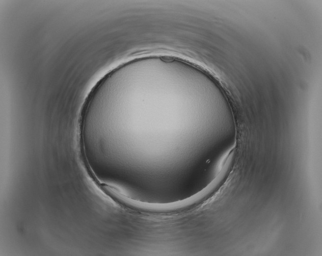 X0000112101518200908251138