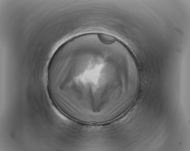 X0000112101519200908251138