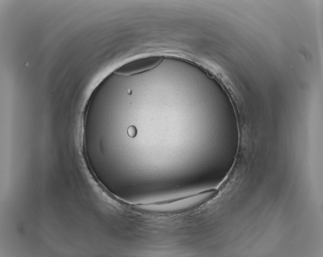 X0000112101520200908251138