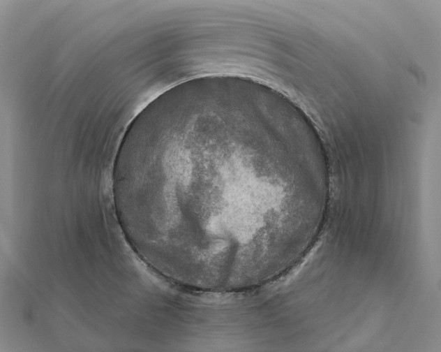 X0000112101521200908251138