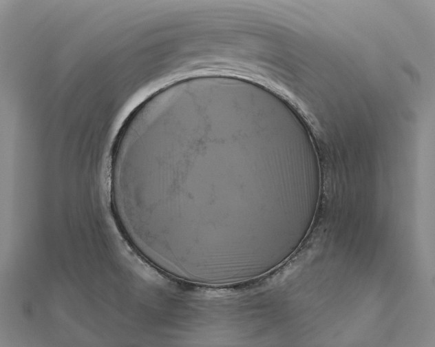 X0000112101522200908251138