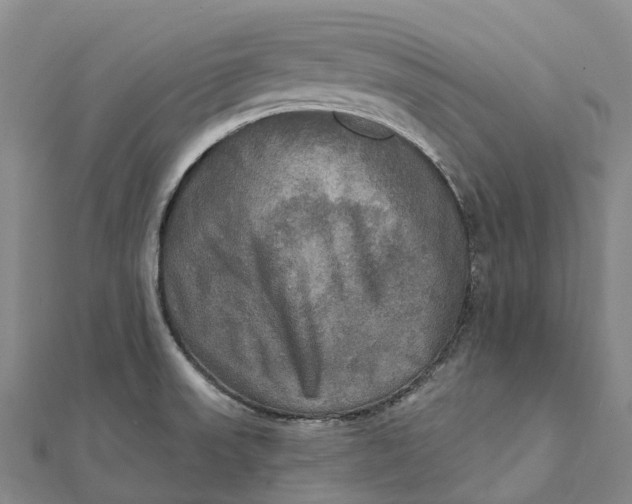 X0000112101523200908251138