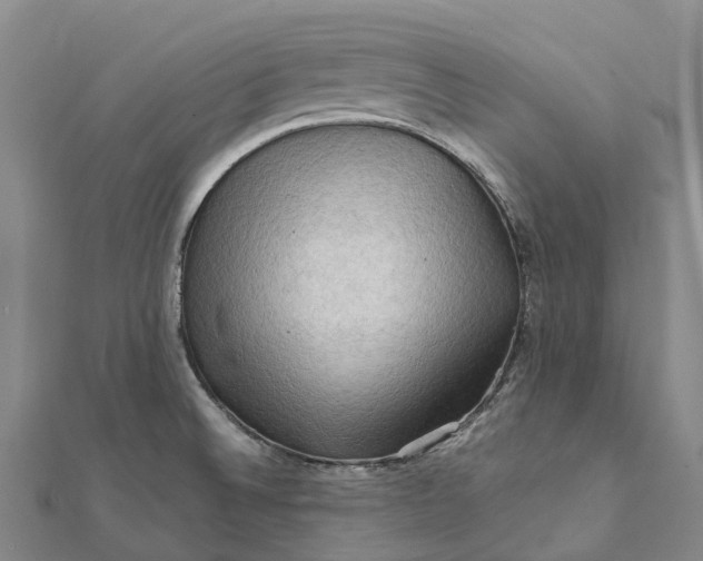 X0000112101524200908251138