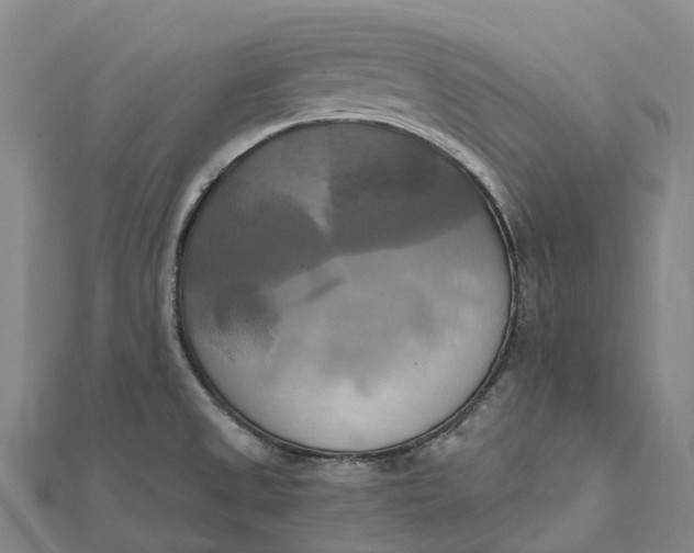 X0000112101525200908251138