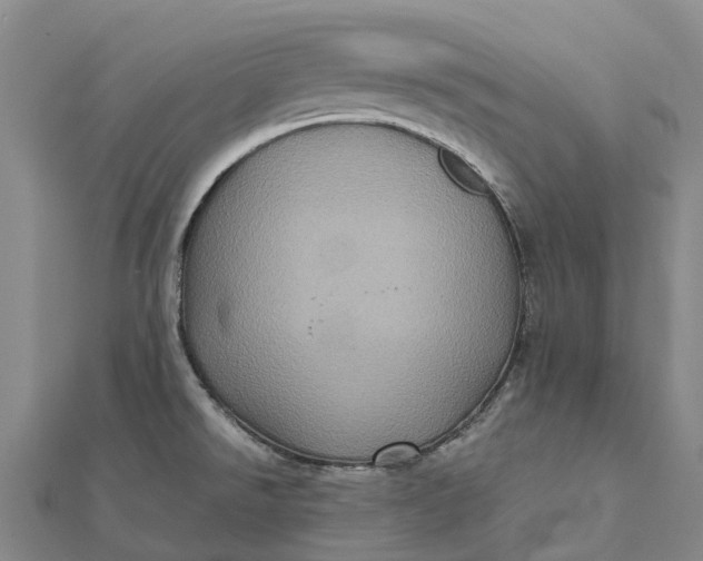 X0000112101526200908251138