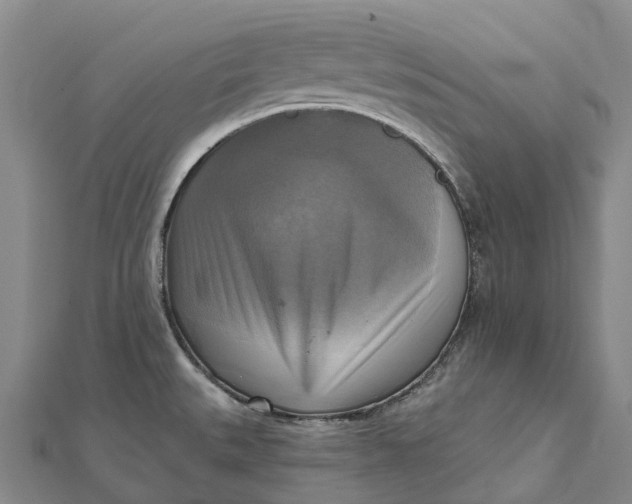 X0000112101527200908251138