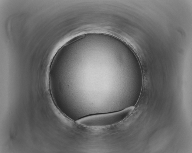 X0000112101528200908251138