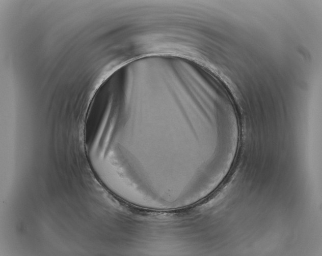 X0000112101529200908251138