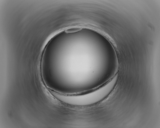 X0000112101530200908251138