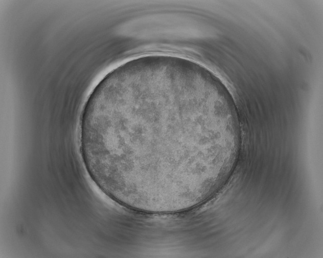 X0000112101531200908251138