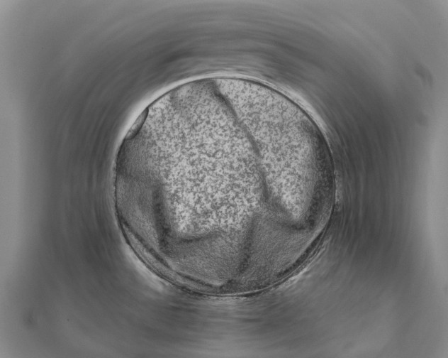 X0000112101532200908251138