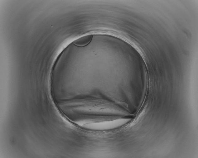 X0000112101533200908251138