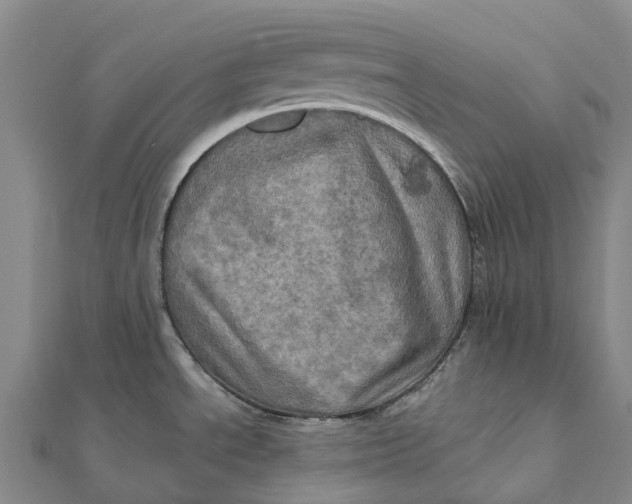 X0000112101534200908251138