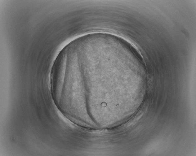 X0000112101535200908251138