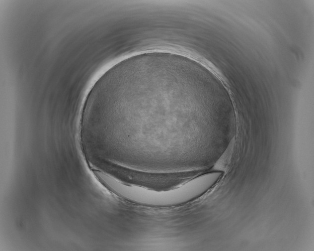 X0000112101536200908251138