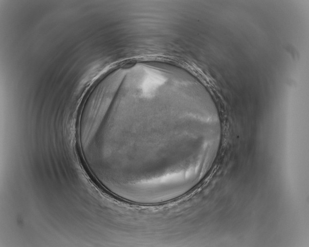 X0000112100002200909011134