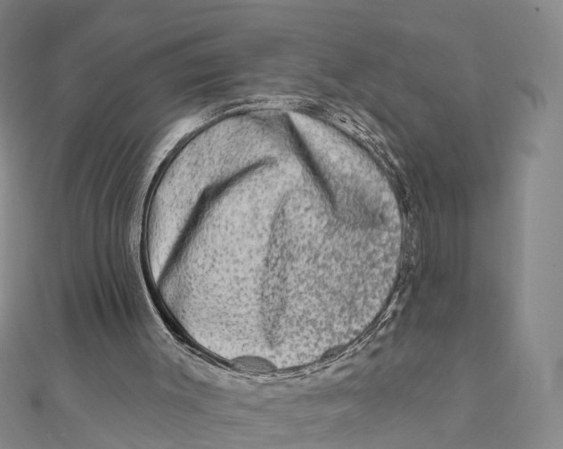 X0000112100003200909011134