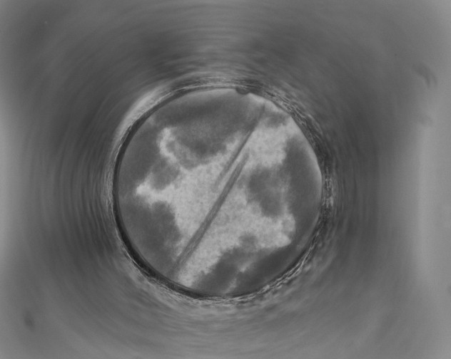 X0000112100004200909011134