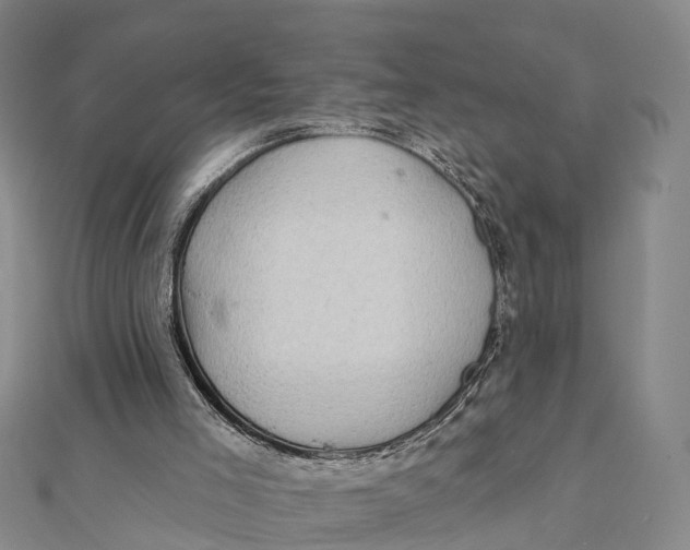 X0000112100005200909011134