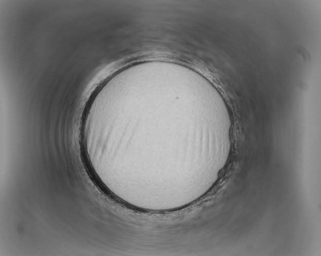 X0000112100007200909011134