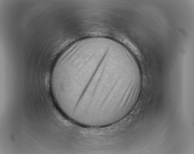 X0000112100009200909011134