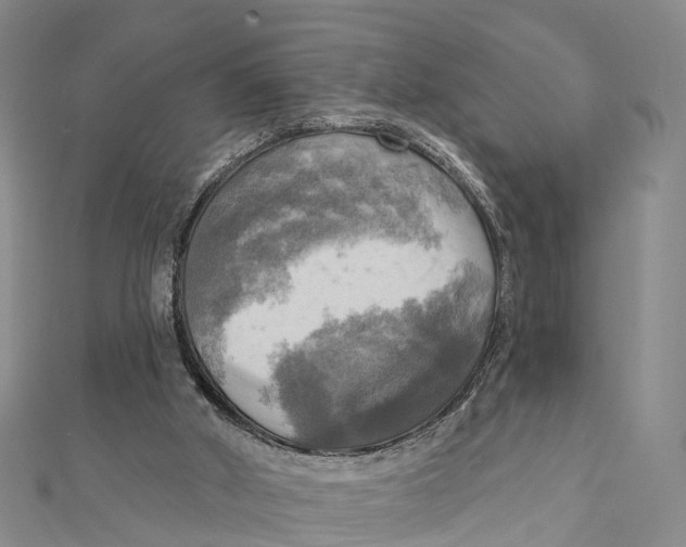 X0000112100010200909011134