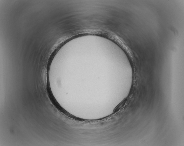 X0000112100011200909011134