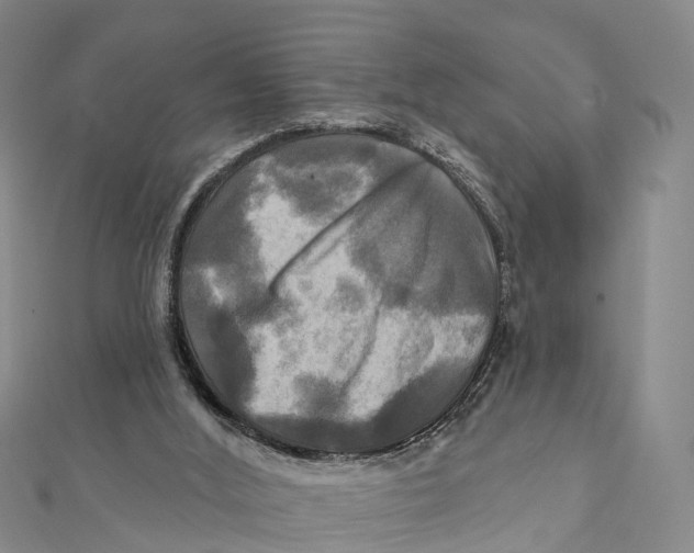 X0000112100012200909011134