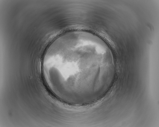 X0000112100014200909011134