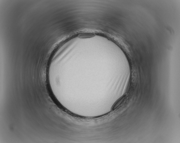 X0000112100015200909011134