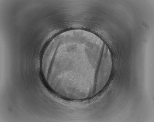 X0000112100016200909011134
