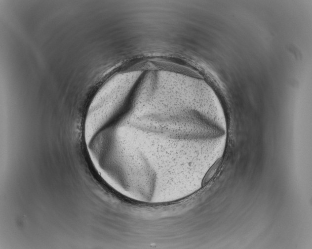 X0000112100017200909011134