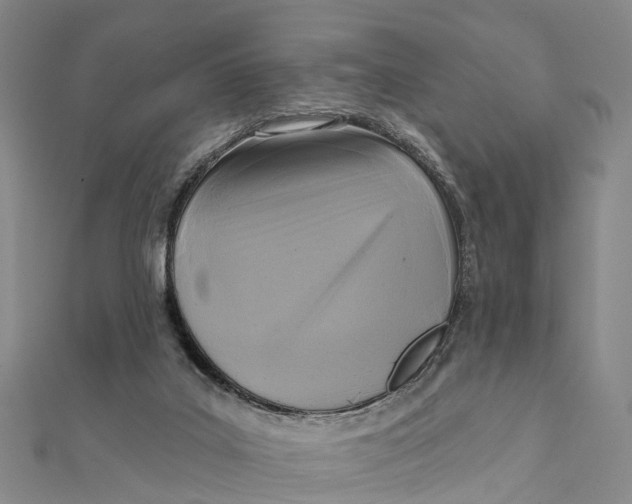 X0000112100019200909011134