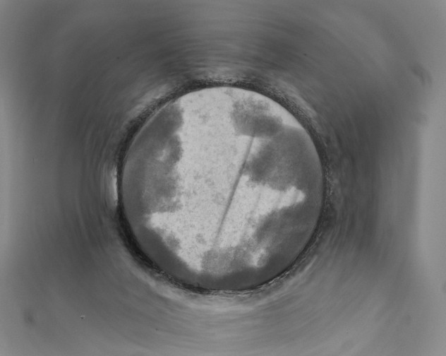 X0000112100020200909011134