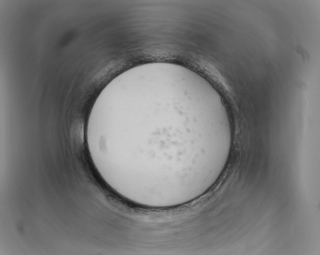 X0000112100021200909011134