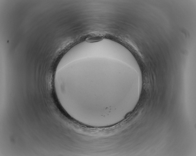 X0000112100023200909011134
