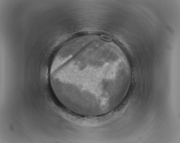 X0000112100024200909011134